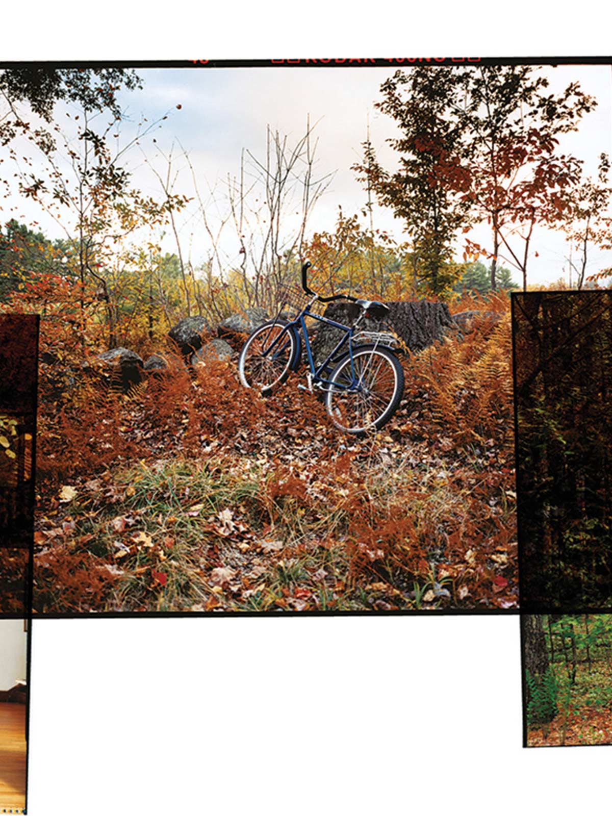 The secret world of the Macdowell Colony, favorite respite of James Baldwin and Alice Walker