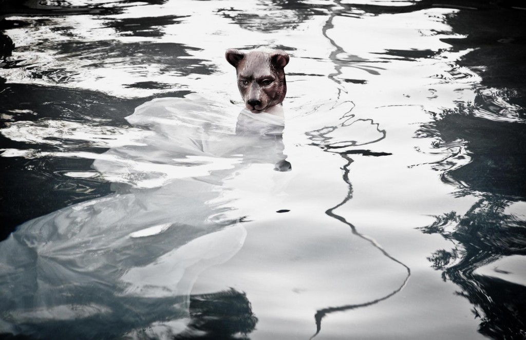 Moby and His Cognitive Dissonance