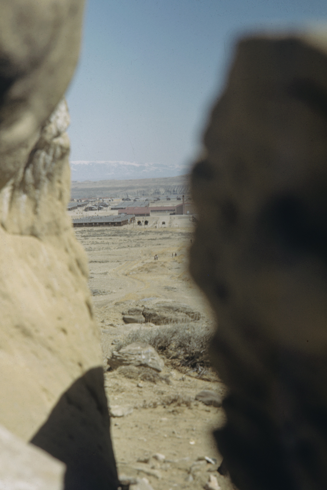 Japanese internment camp survivors reflect on America’s dark past 75 years later