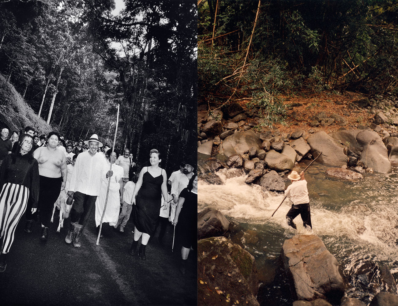 Klaus Biesenbach Uncovers Papo Colo’s Artistic Legacy in Puerto Rico’s Rainforest