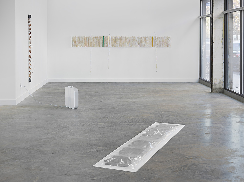 Andrés Laracuente at 83 Pitt Street