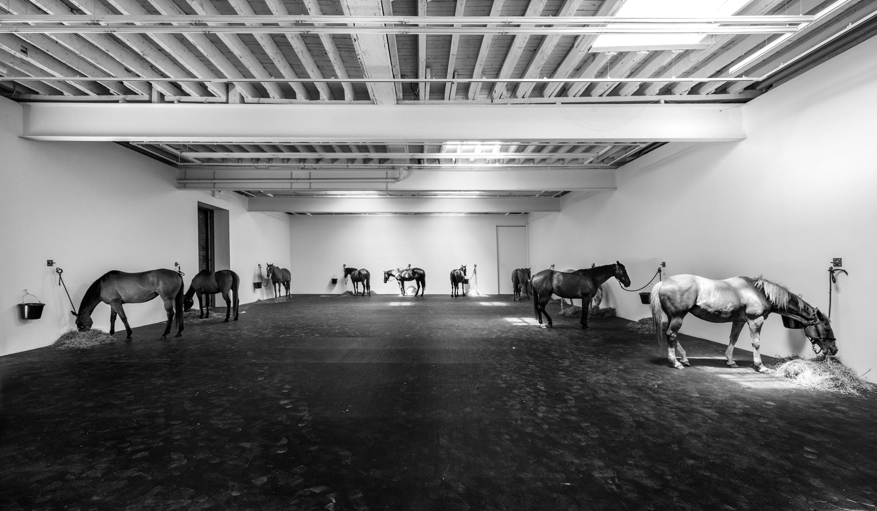 Gavin Brown’s enterprise bids farewell to its West Village Gallery with Jannis Kounellis