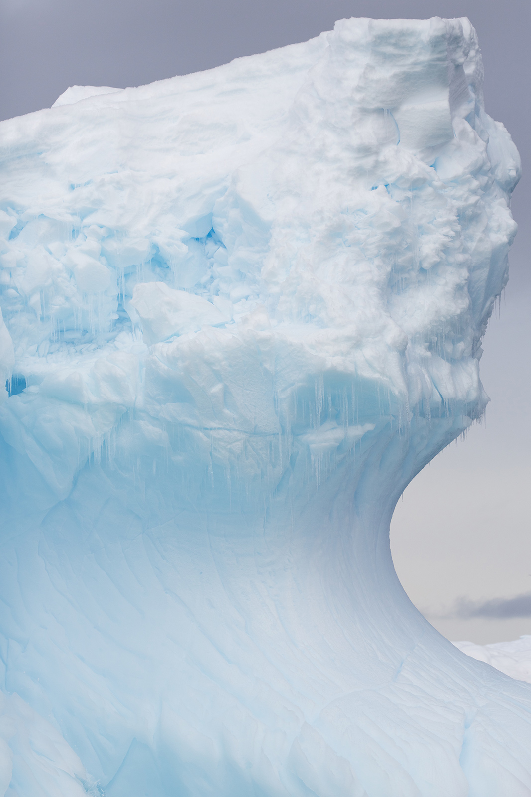 The Antarctic’s icy spell becomes a tourism fantasy