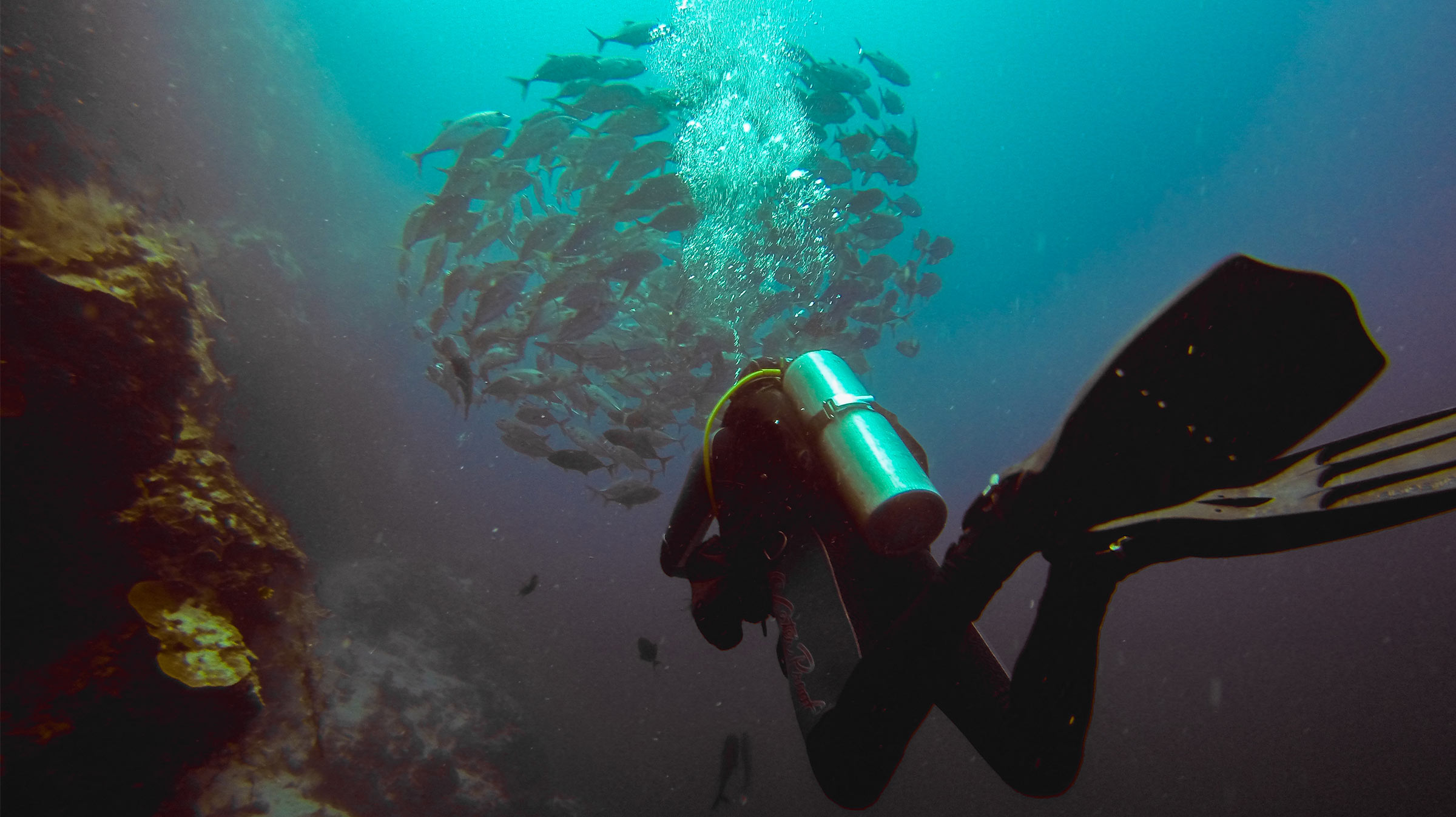 The Document Agenda: “I think everybody should like everybody”