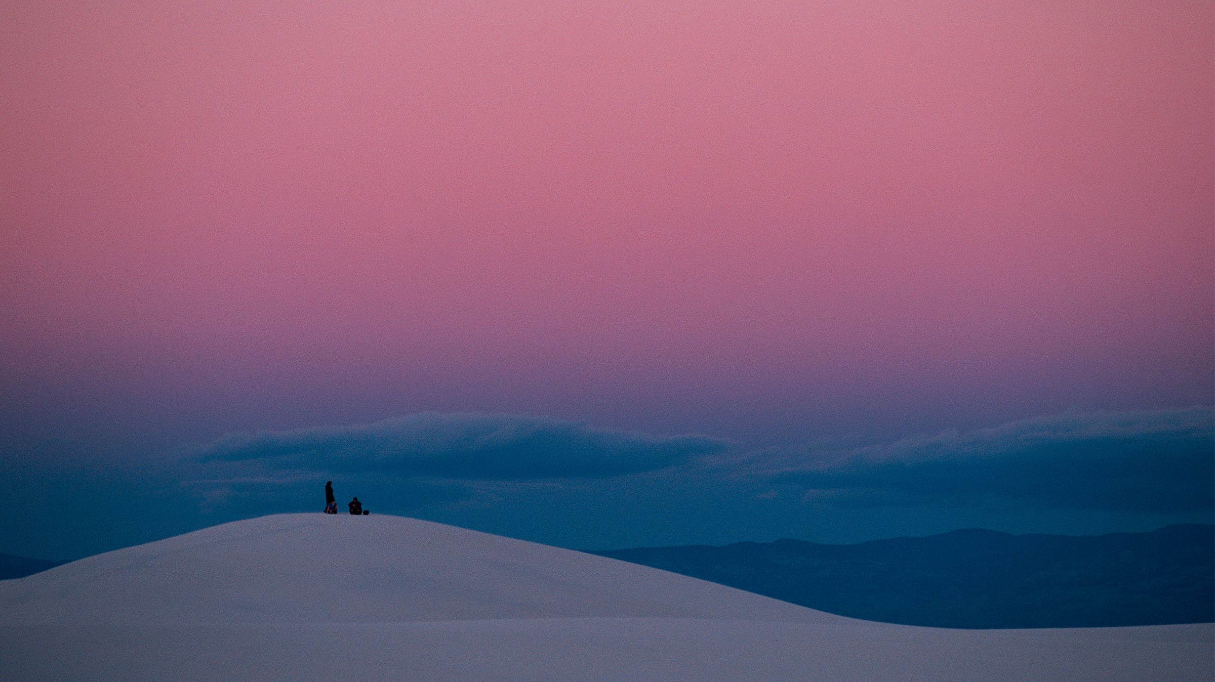 The Document Agenda: “Discovering that life has somehow found a way to make it work”