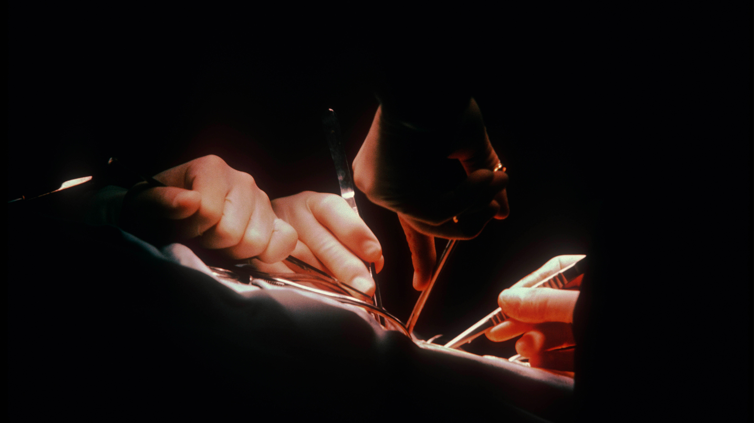 The Document Agenda: “Learning tools for young surgeons”