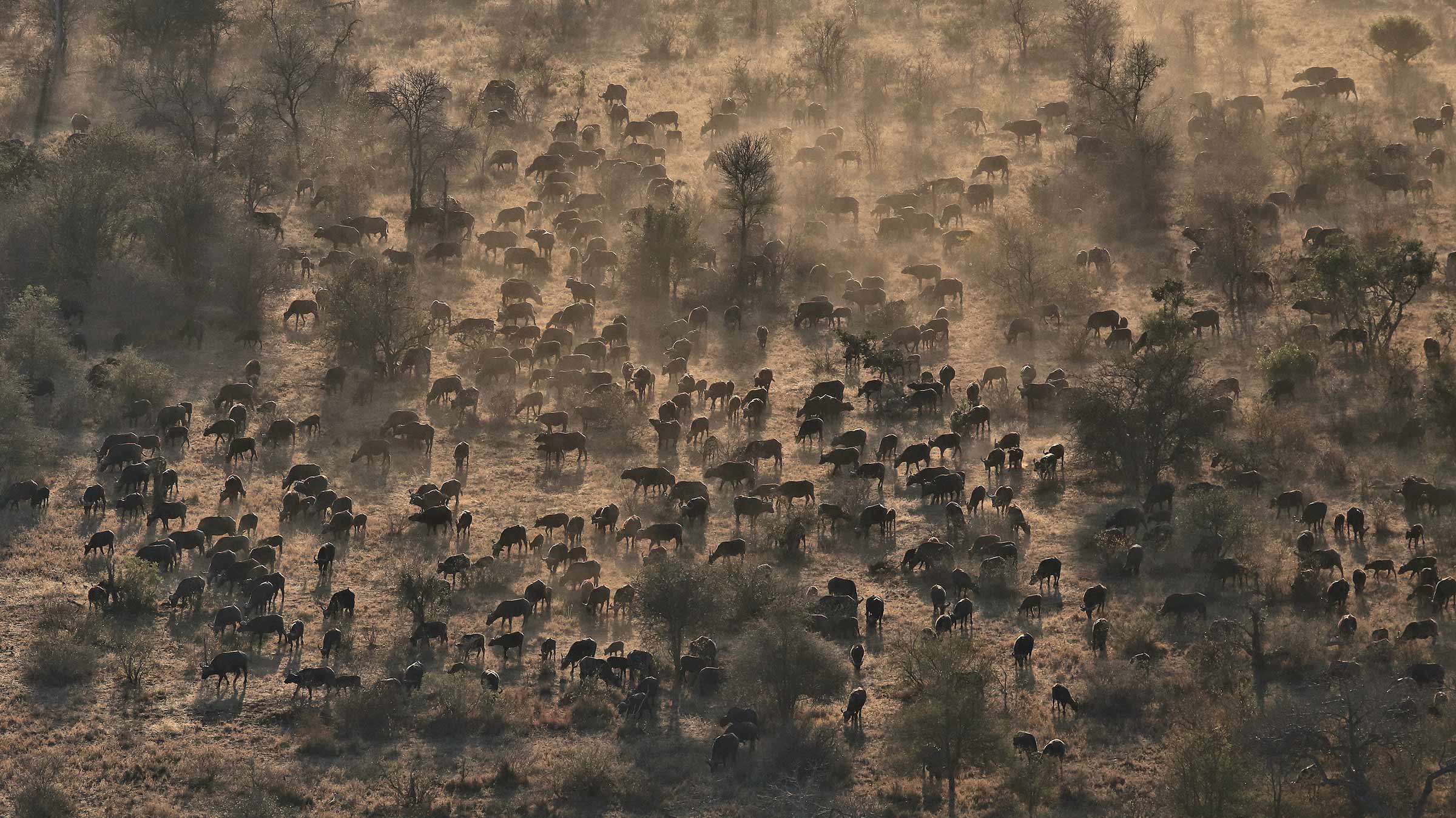 The Document Agenda: “An enchanted world now exists alongside the disenchanted one”