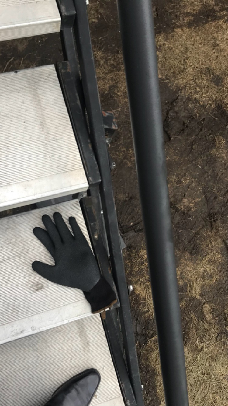 Paul Hameline casts a glittered lens towards New York City