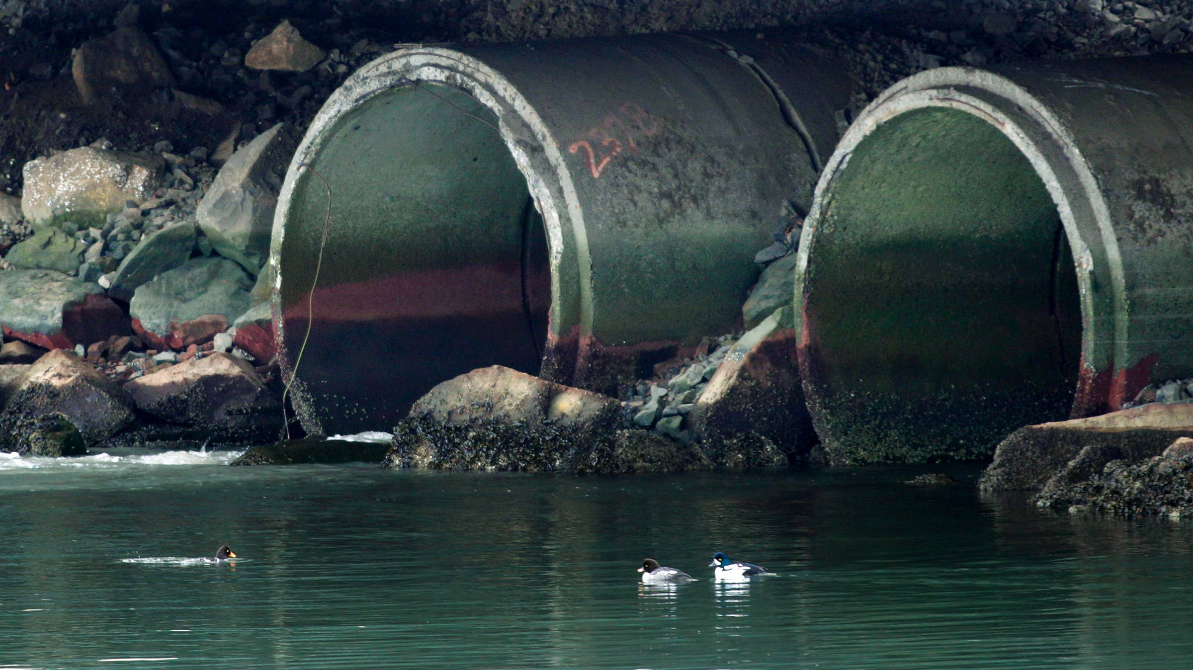 Of course Scott Pruitt’s EPA tried to kill a study about toxic chemicals in our groundwater