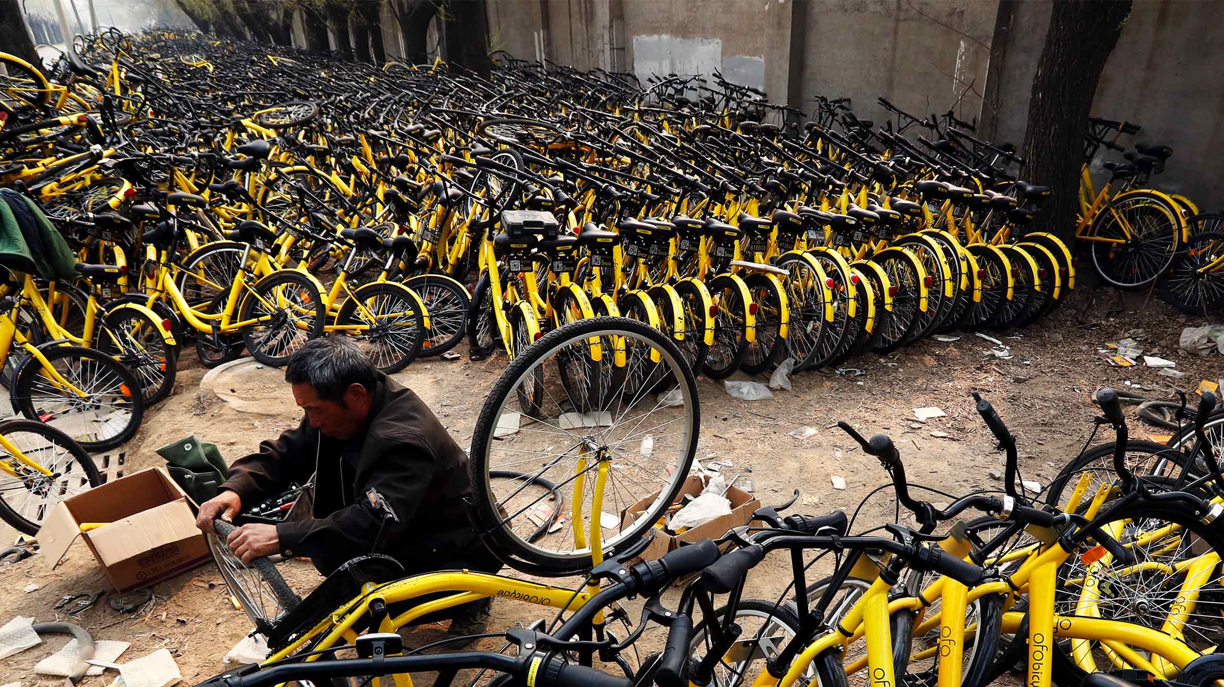 Dockless bikes, the latest tech disruption, are ending up in volcanoes and trees