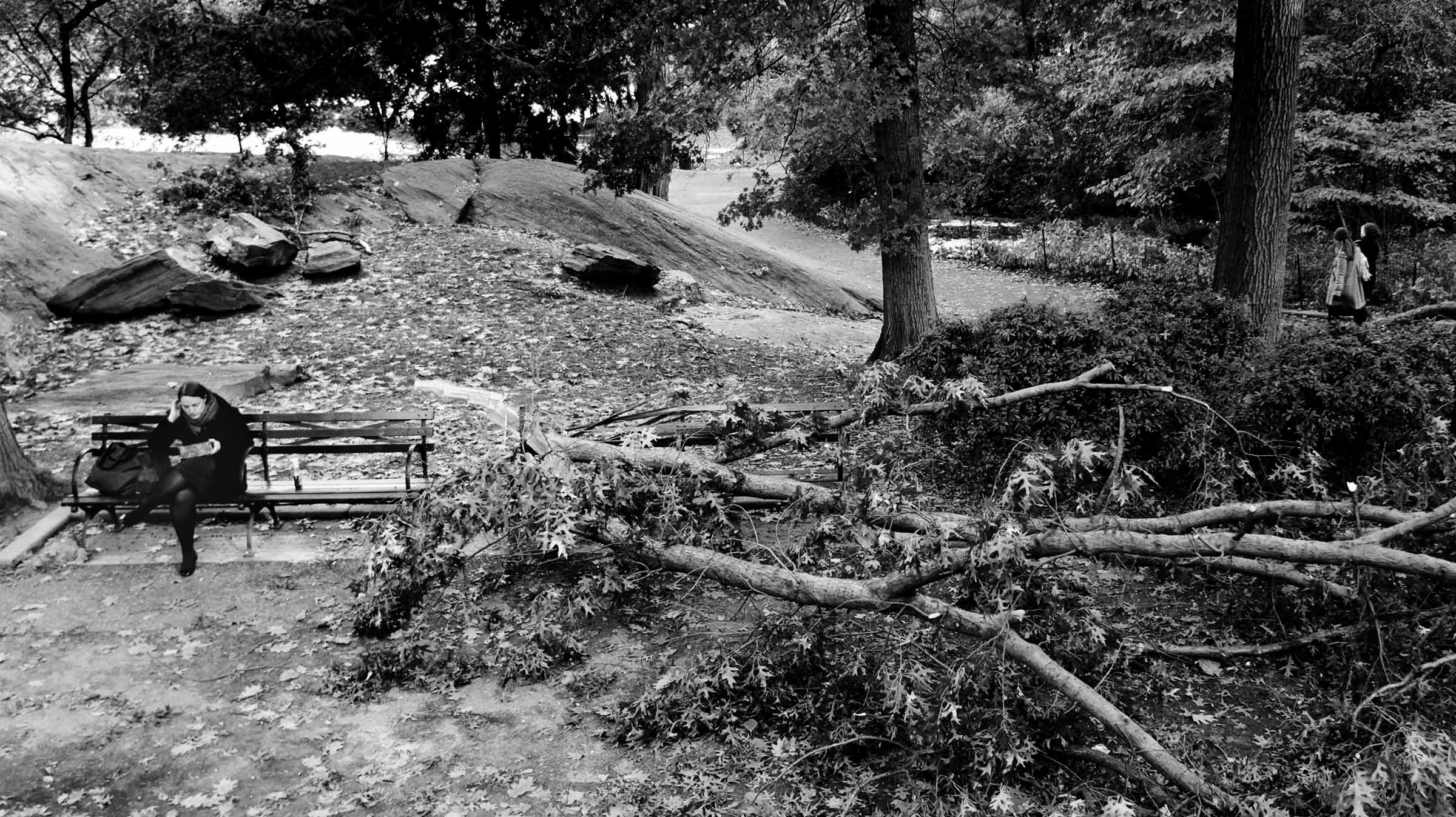 Parks and wreck: New York City’s crumbling public infrastructure