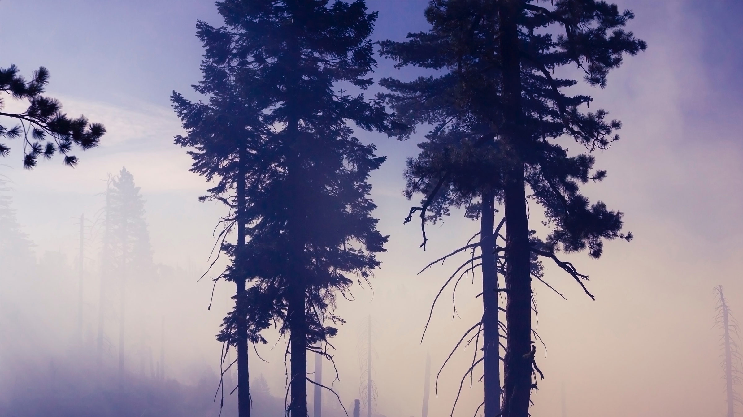 If it’s fresh air you’re looking for, avoid the major national parks