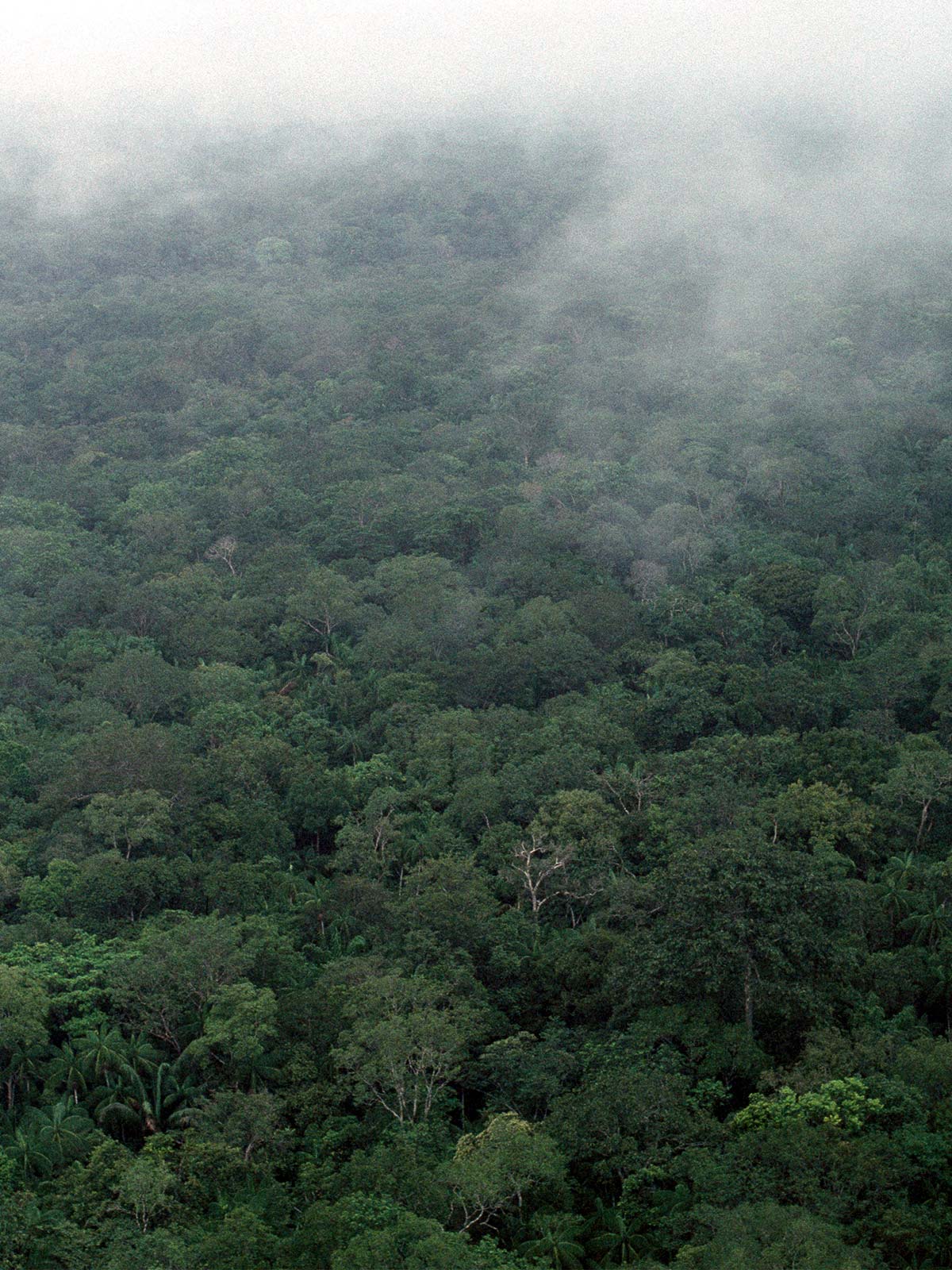 The man in the hole emerges