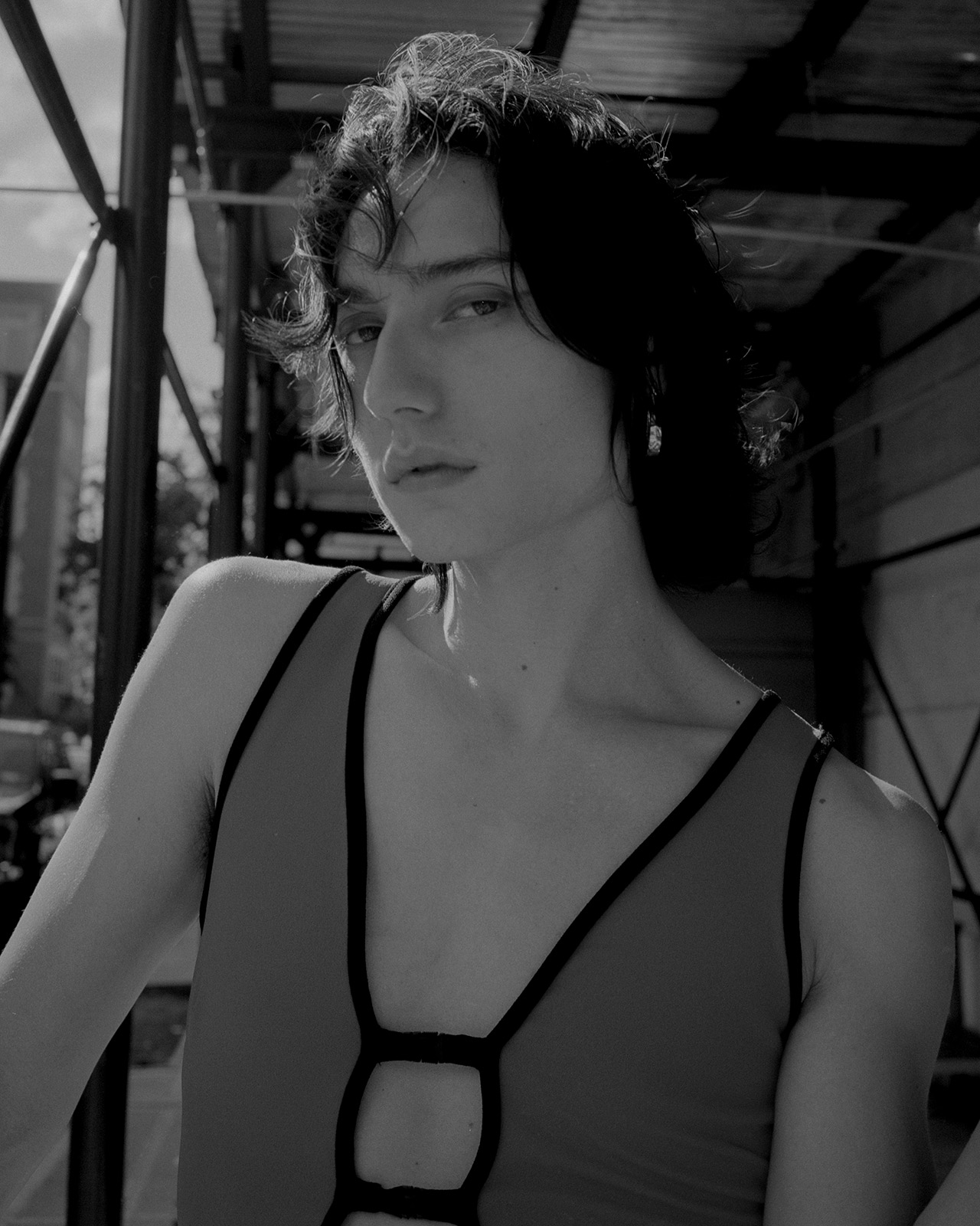 Fashion Nova on the rise