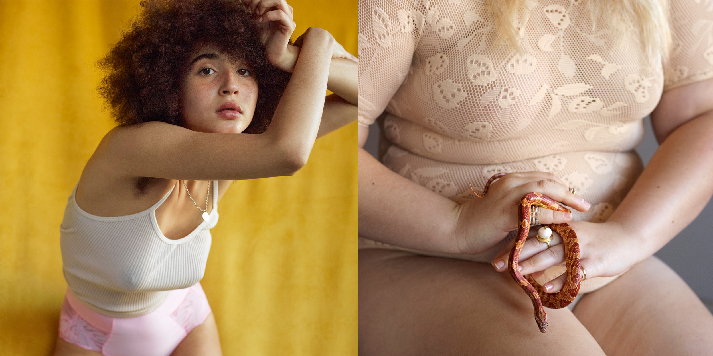 A Marigold Eve in the Garden