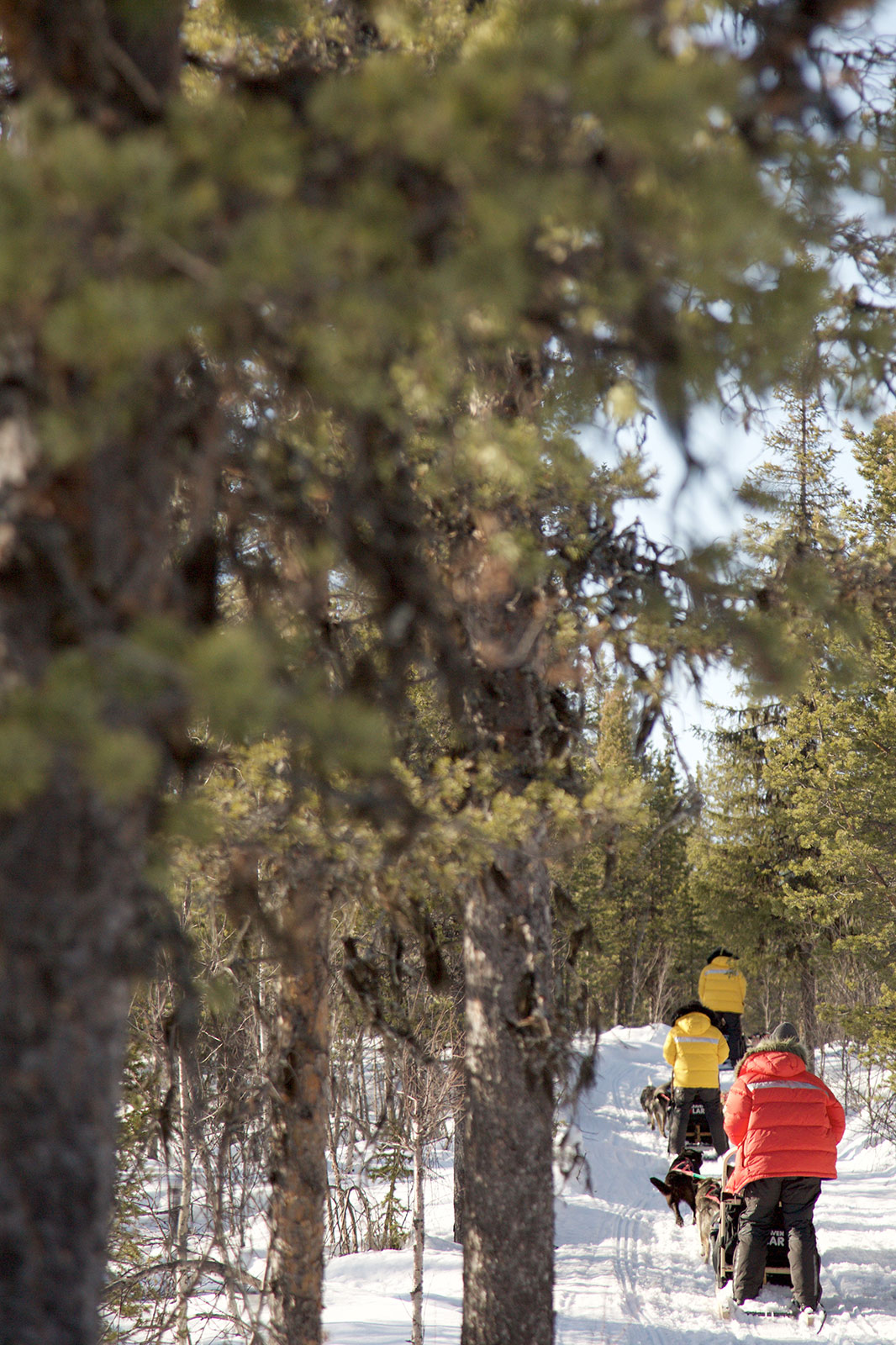 Into the woods: Acne Studios’ Jonny Johansson takes on the Swedish outdoor icon Fjällräven