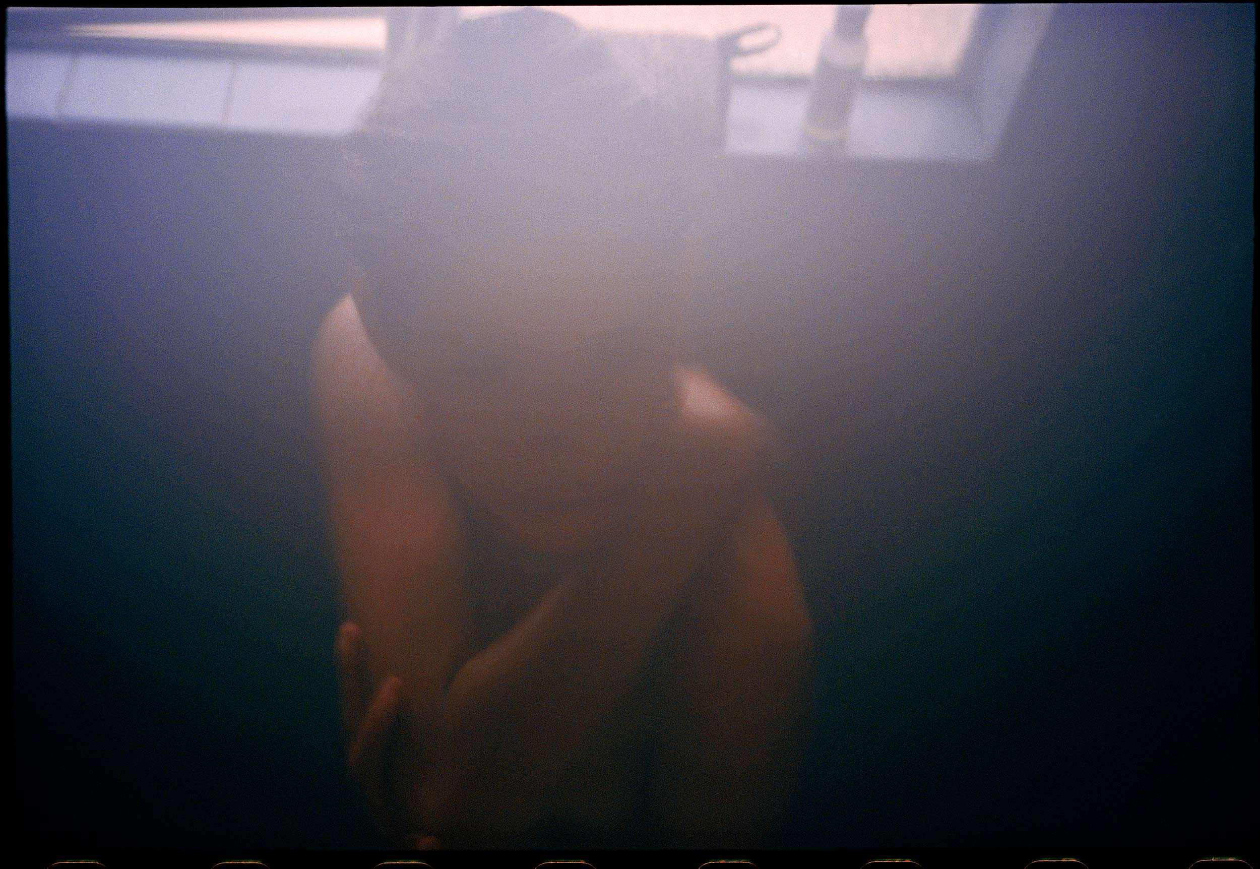 Photographer Zora Sicher navigates intimacy in the digital age