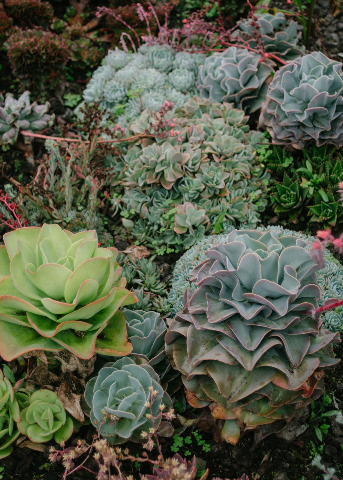 ‘Melodía del Río’: Colombian fashion shot against otherworldly landscapes