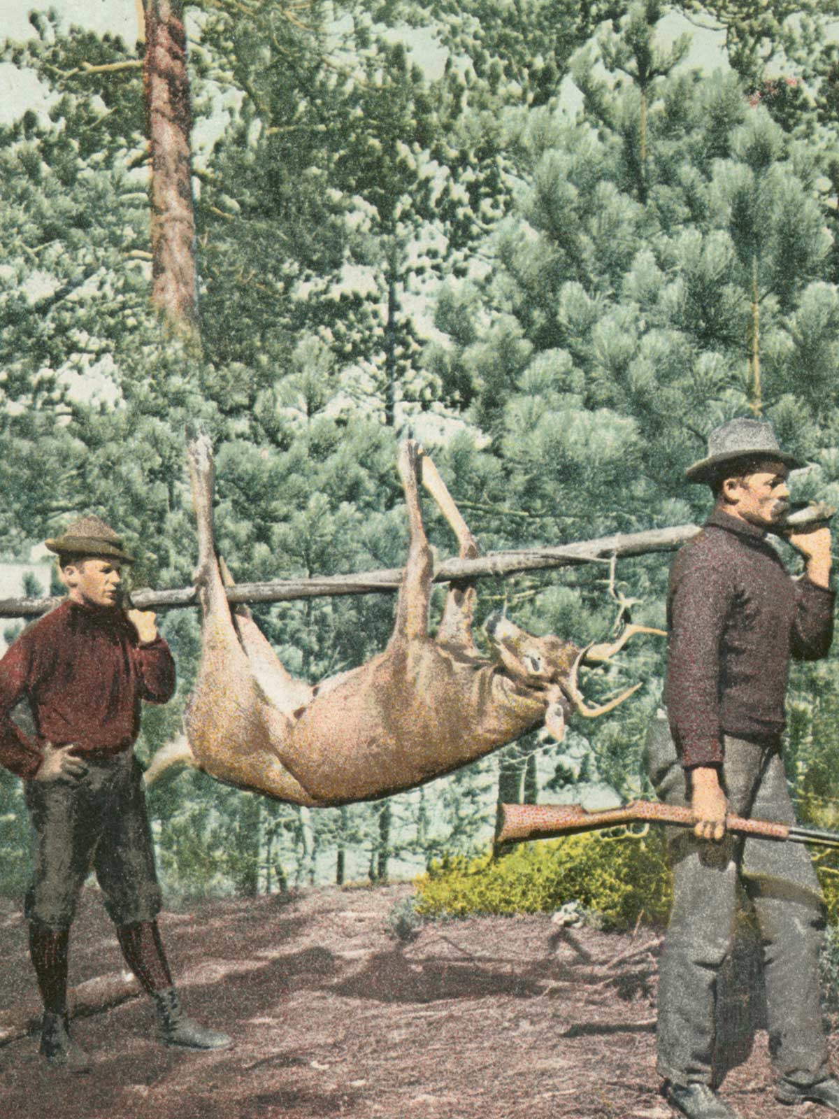 Why millennials are killing for an ethical meal