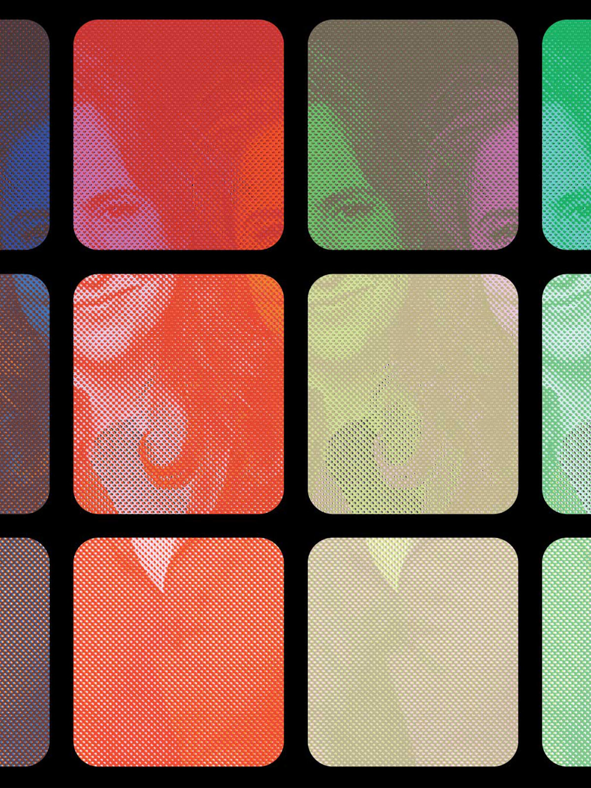 Helen Schulman explores age-old questions in the age of information