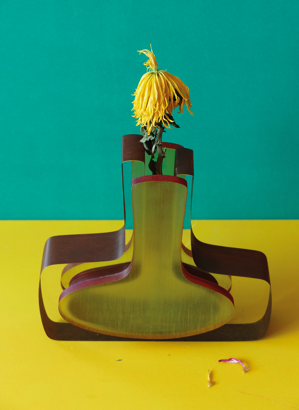 15 minutes with Pedro Almodóvar, film legend turned fine artist