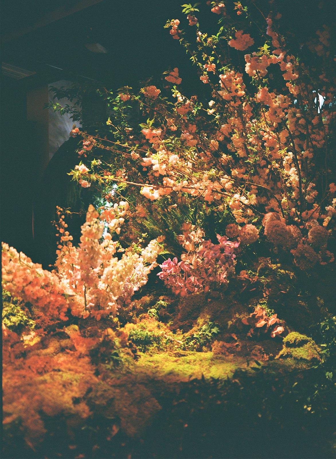 Inside Selah Marley’s plant-filled dream world