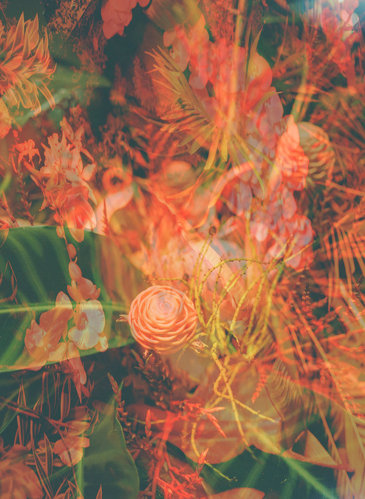 Inside Selah Marley’s plant-filled dream world