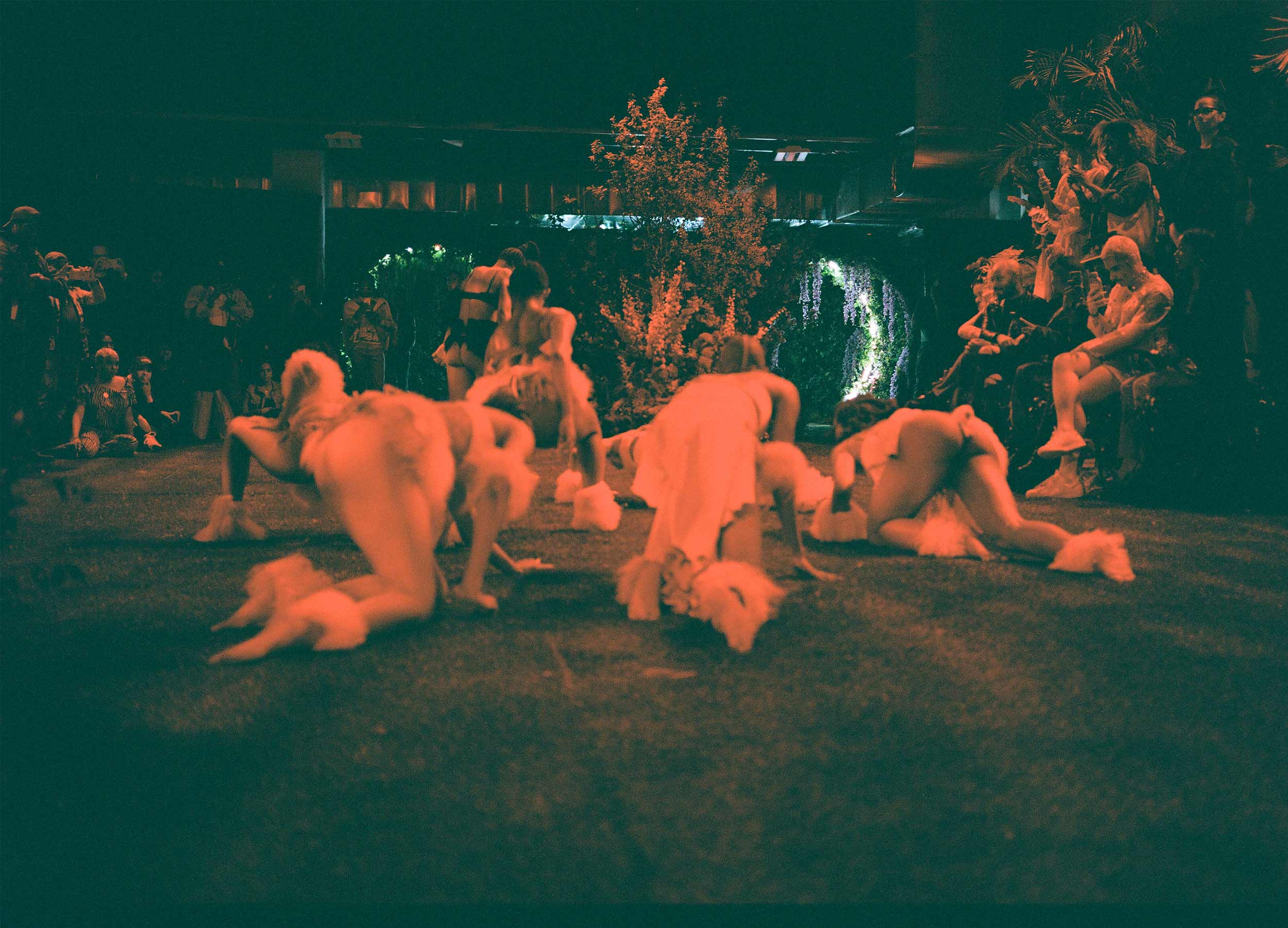 Inside Selah Marley’s plant-filled dream world