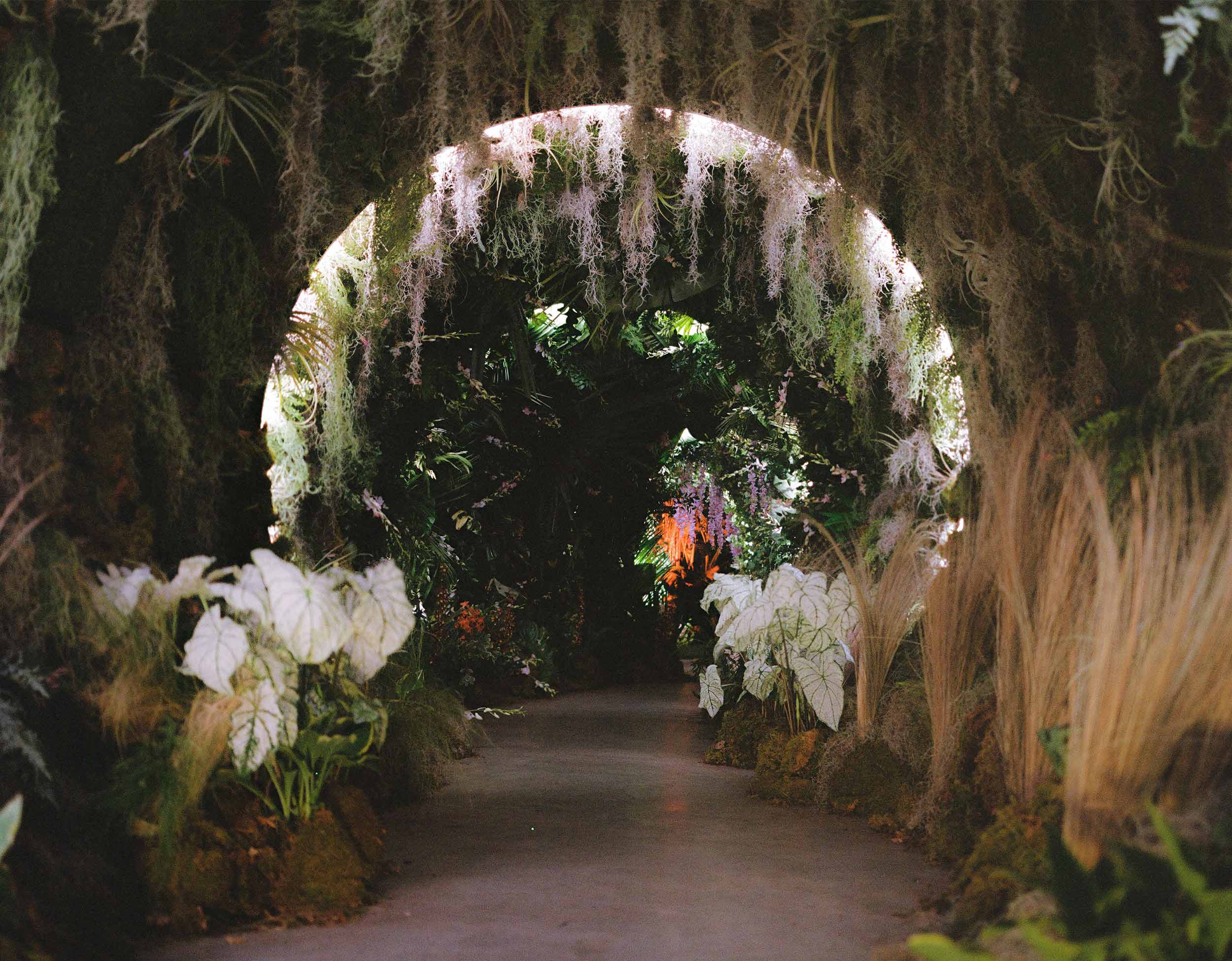 Inside Selah Marley’s plant-filled dream world