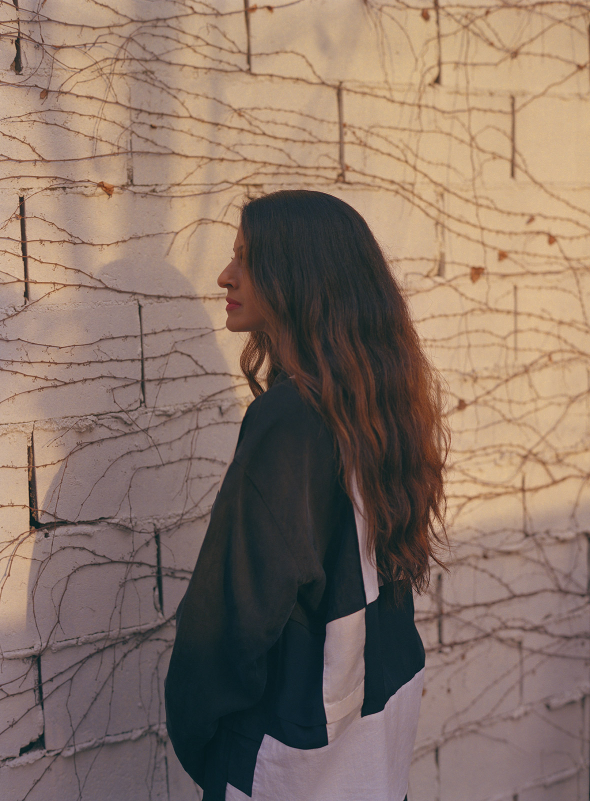 Critics Parul Sehgal and Teju Cole on the changing authority of words