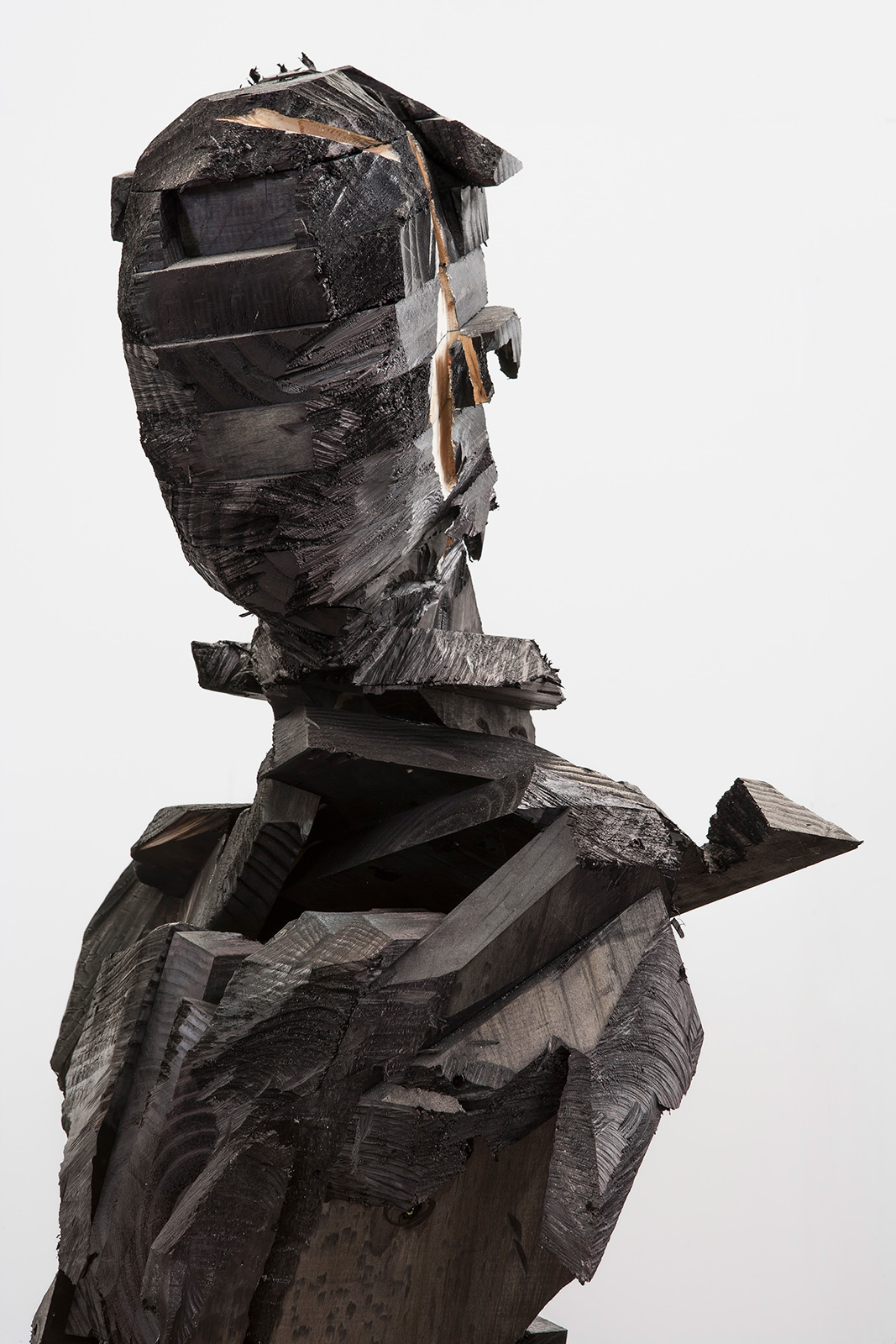 Artist Wim Botha exposes the bad faith of Encyclopedia Britannica