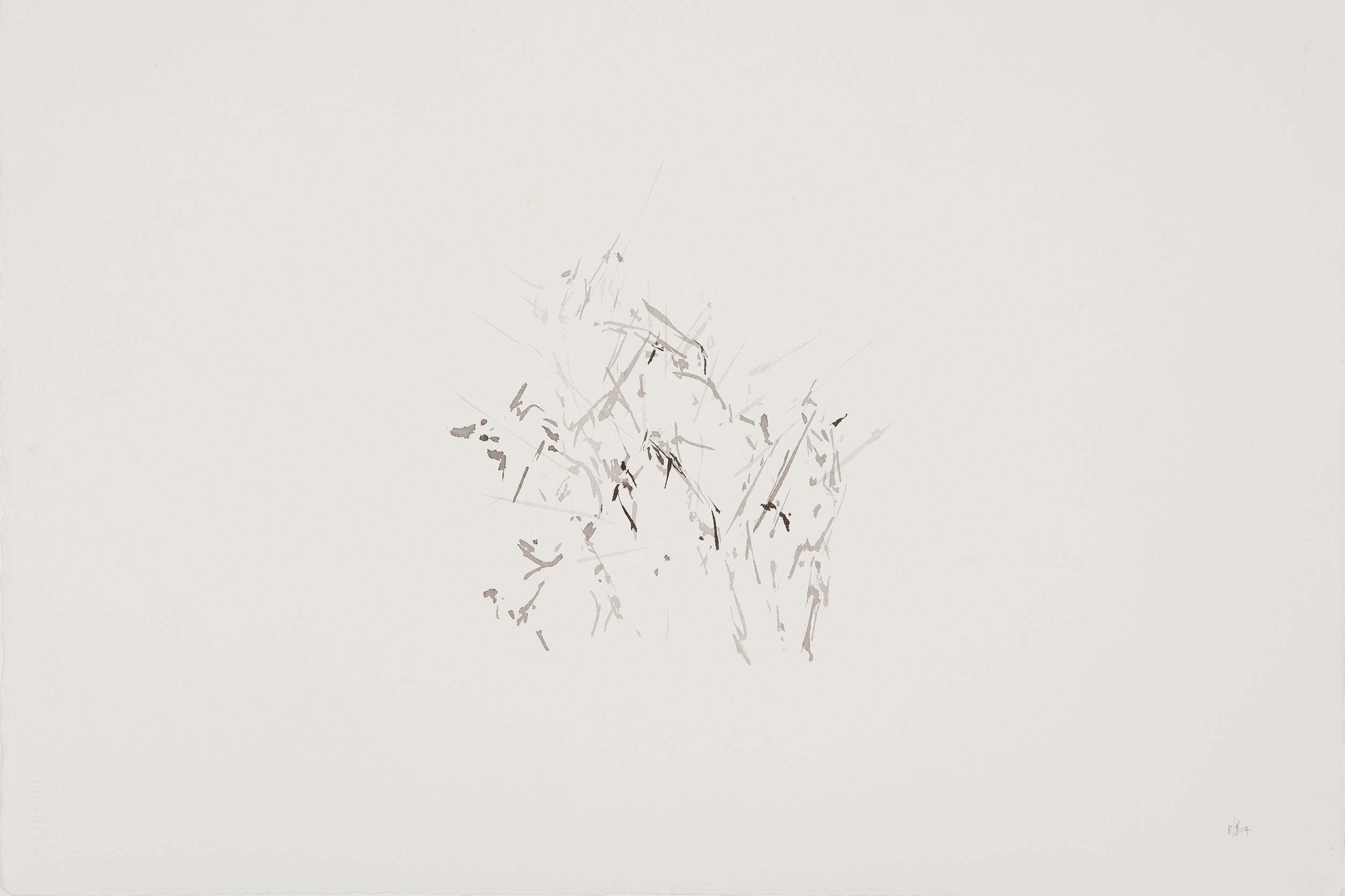 Artist Wim Botha exposes the bad faith of Encyclopedia Britannica