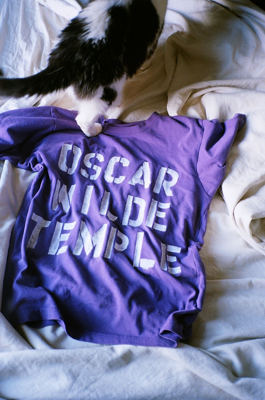 An ode to gay t-shirts, from The Oscar Wilde Temple to The Wizard of Oz