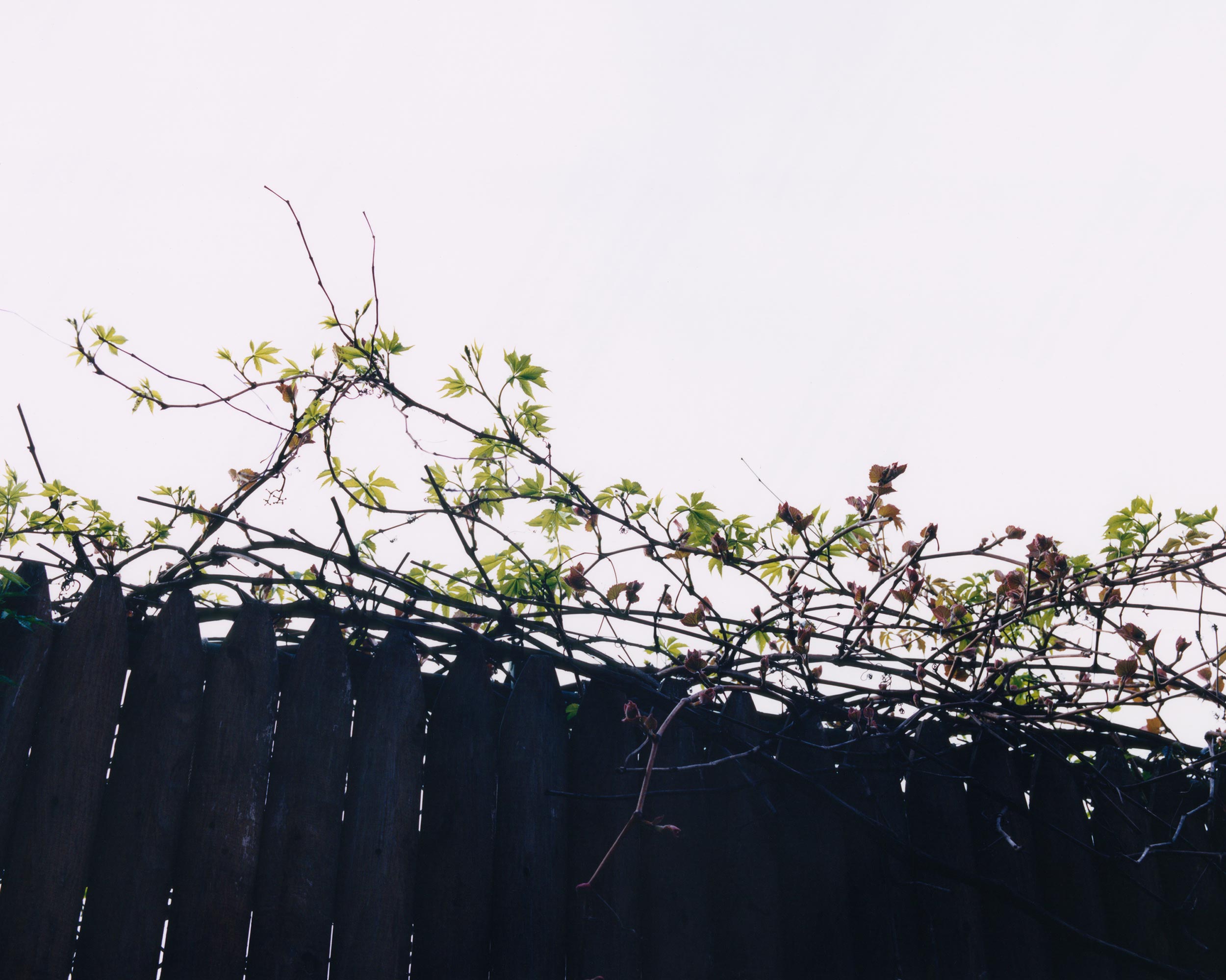 On the brink of environmental catastrophe, 6 designers hope to create change