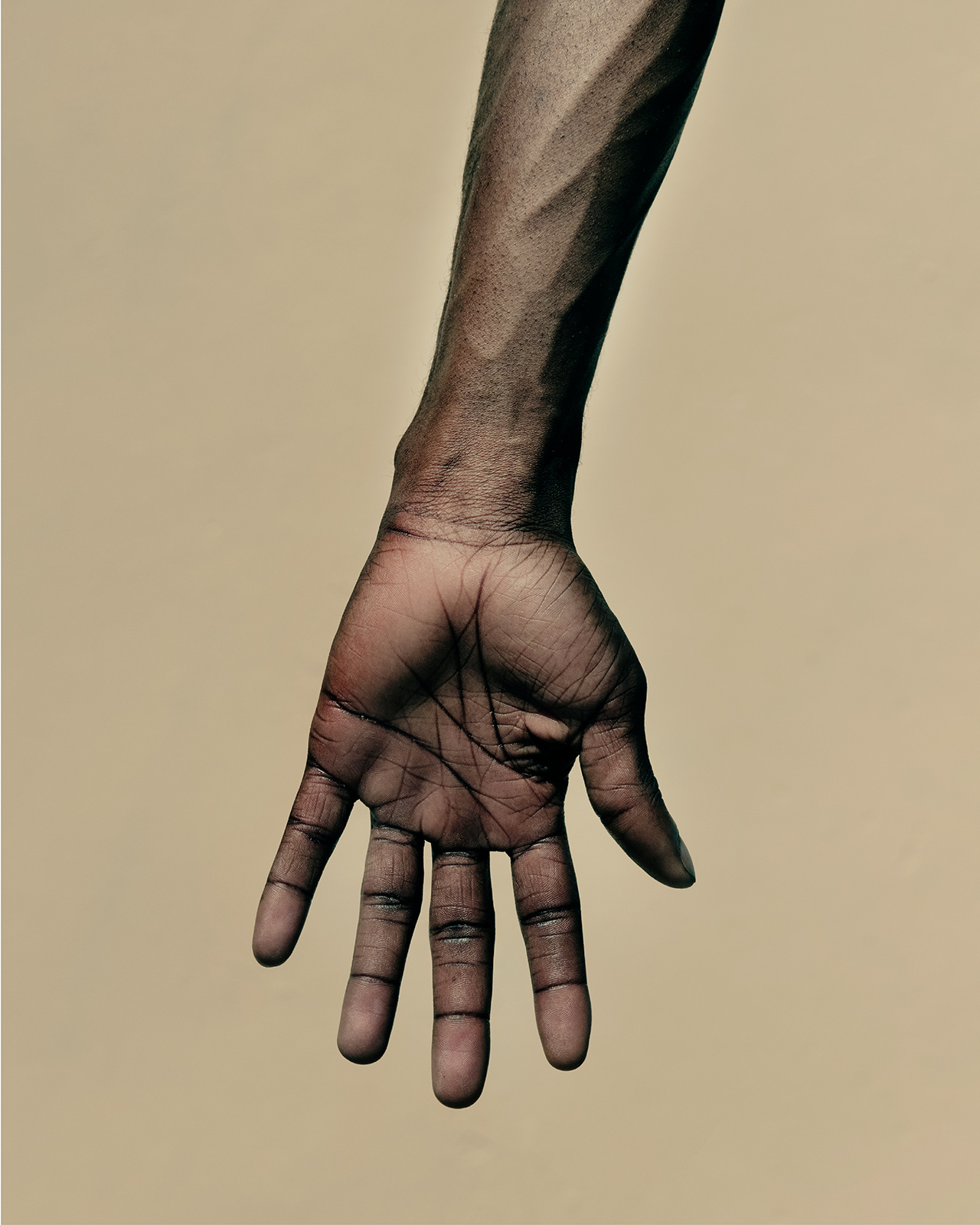 Diedrick Brackens weaves visual anthems for the yee-haw agenda