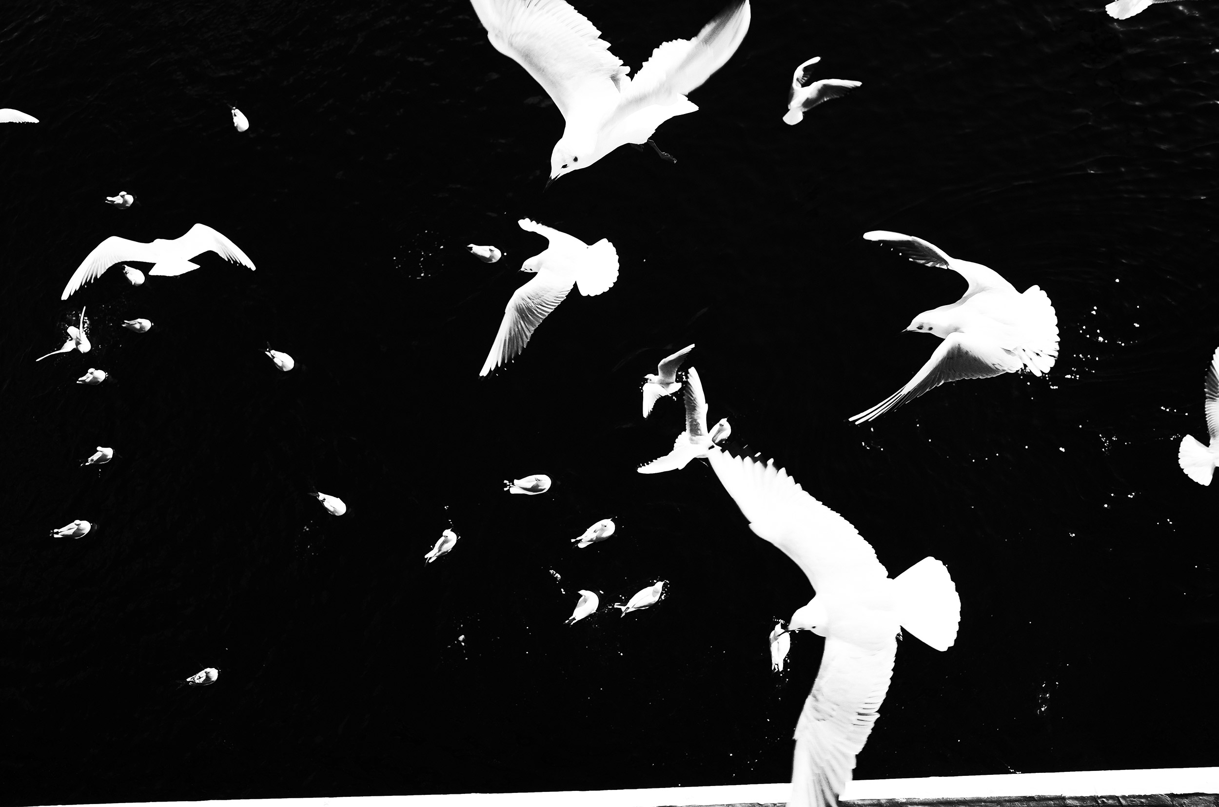 5 young photographers pushing the bounds of ‘feminine beauty’