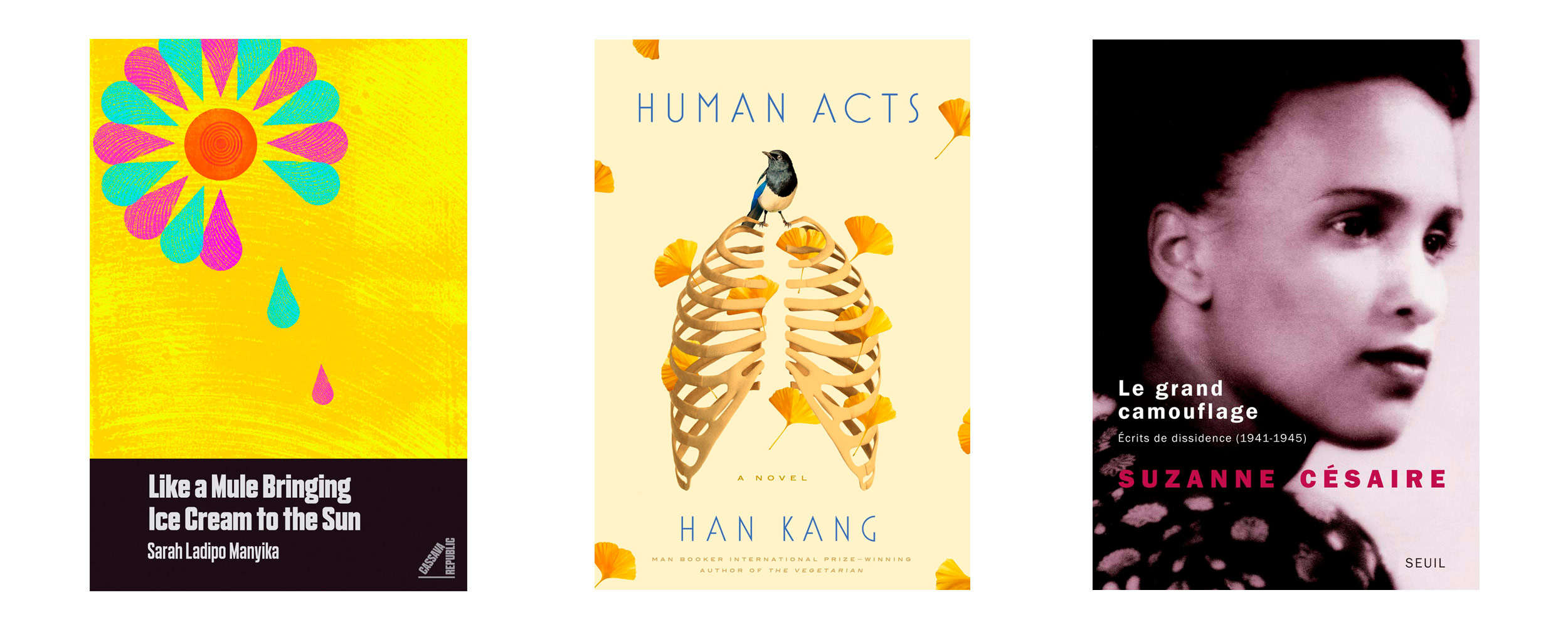 Kang Han "Human Acts". Human acts