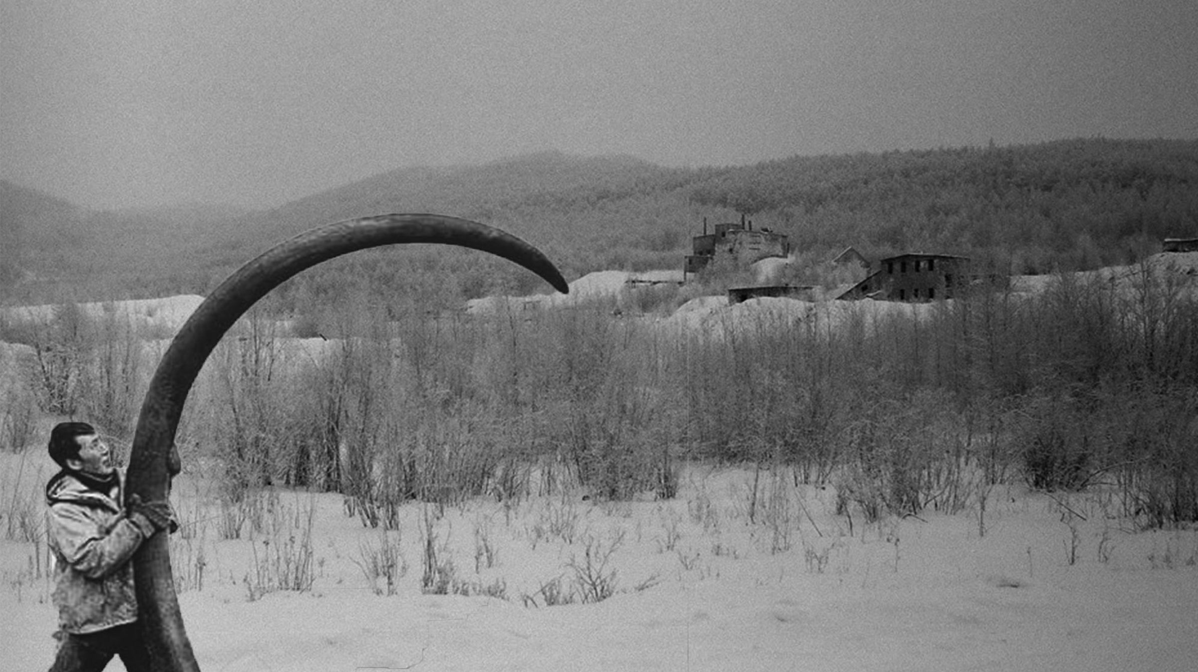 Great, now global warming is causing woolly mammoth poaching