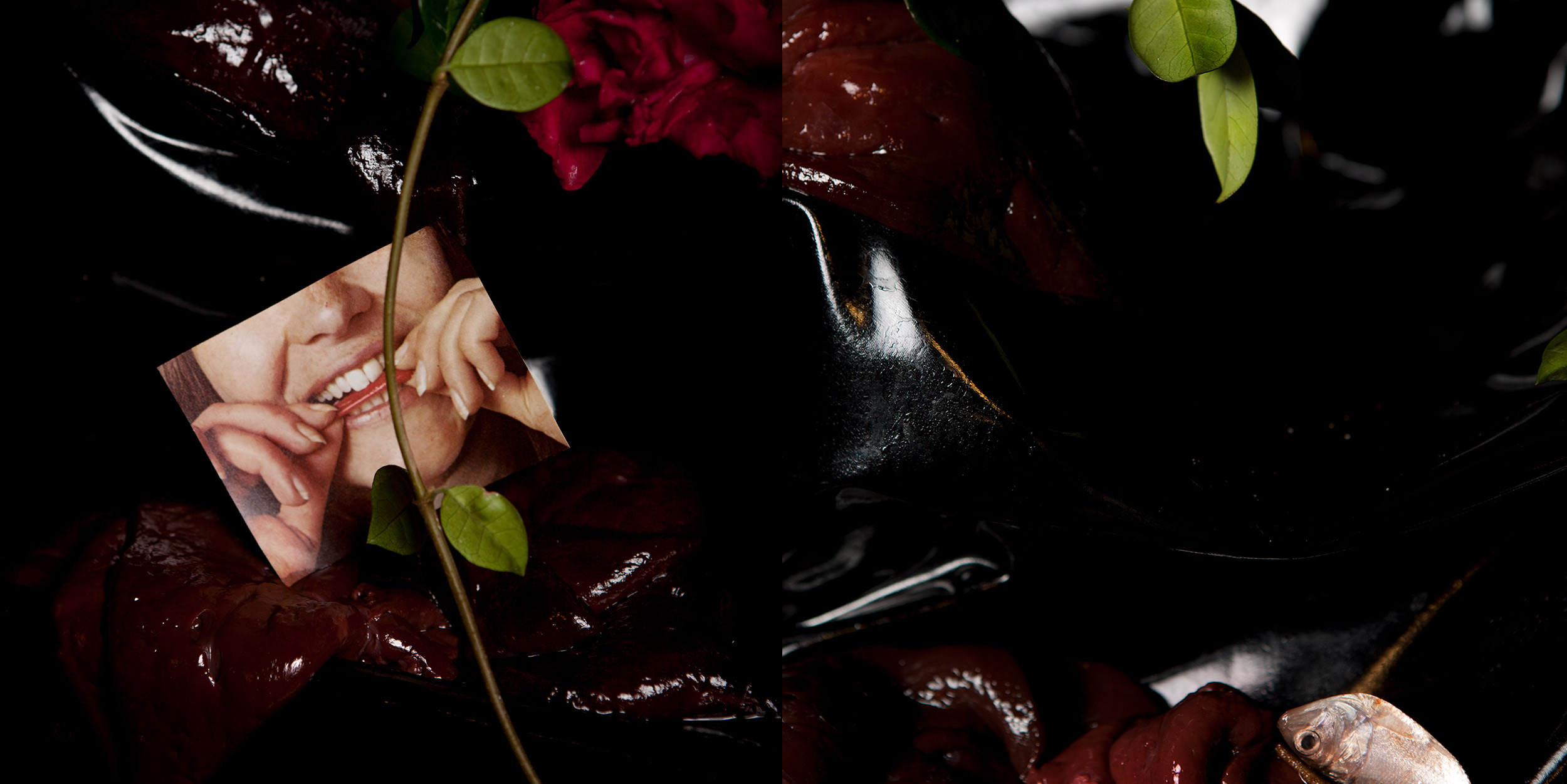 Inside Arden Surdam’s licentious world of seafood, sex, and status