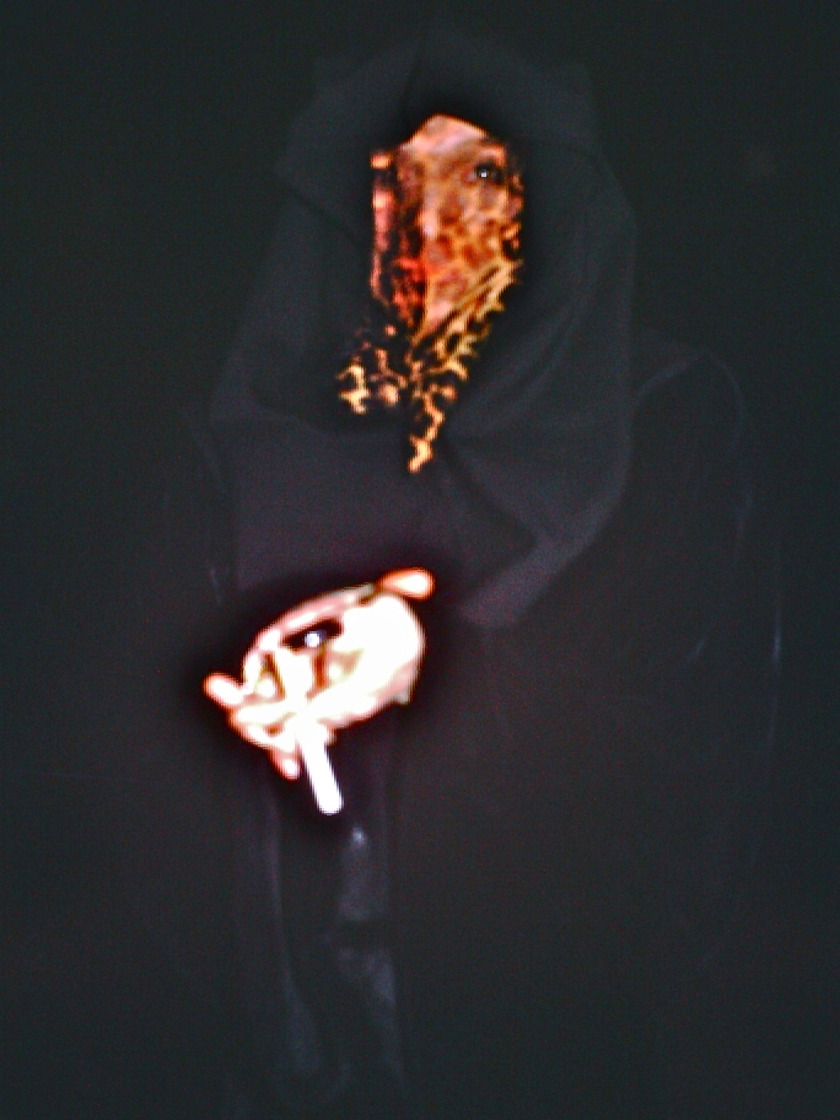 The Cramps circa ’79: falling in love with punk rock’s most psychotic band