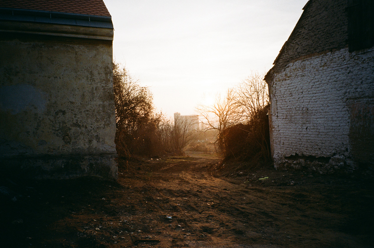 Marie Tomanova captures the haunting discomfort of being lost in her own homeland