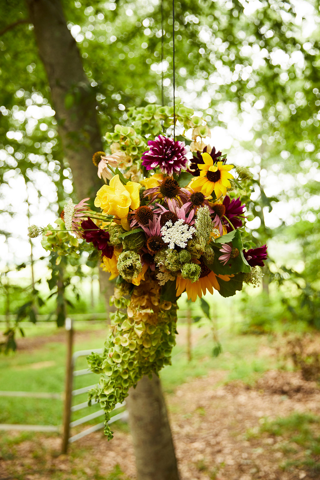 5 tips for mitigating the honey bee crisis—and urban bee keeping is not the answer