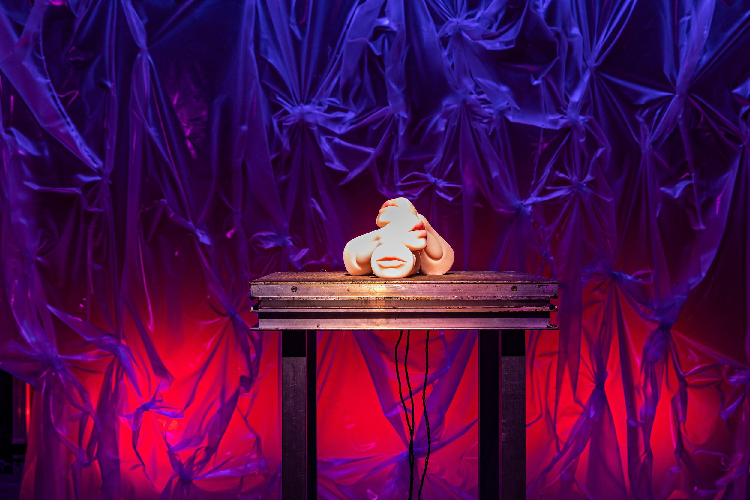 Peaches gives sentience to sex toys in her new exhibition, ‘Whose Jizz Is This?’
