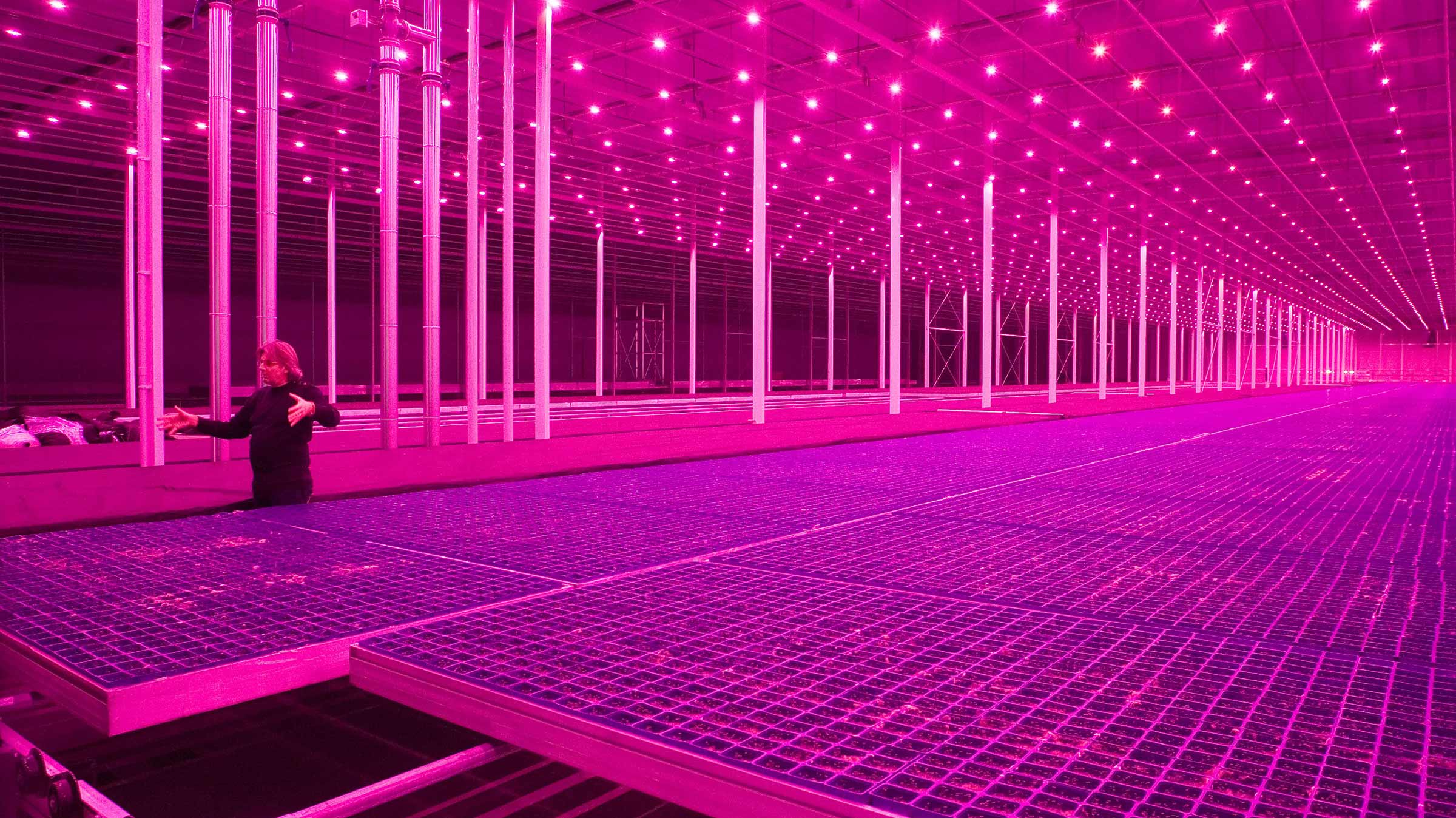 A politician, a scientist, and an architect walk into the Guggenheim. Here’s what they discussed