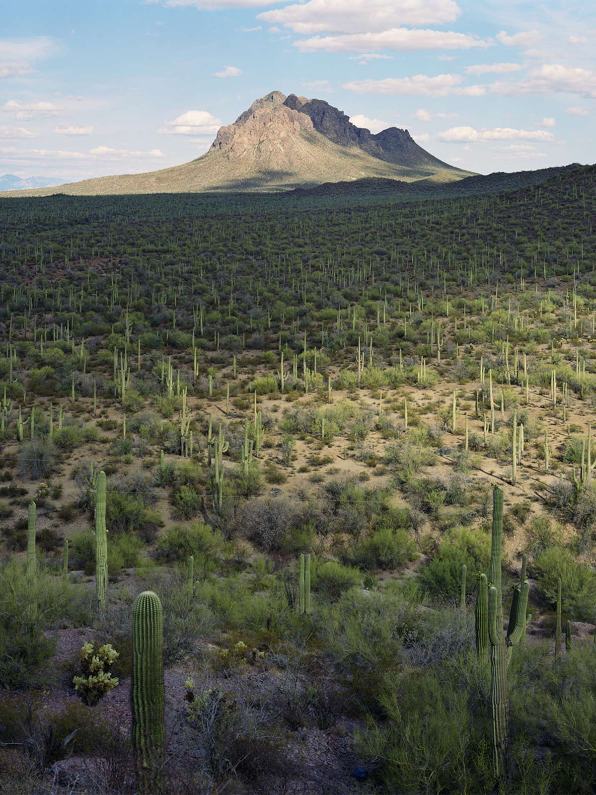 Borderlands: Mitch Epstein’s portfolio of America’s changing physical and social landscape