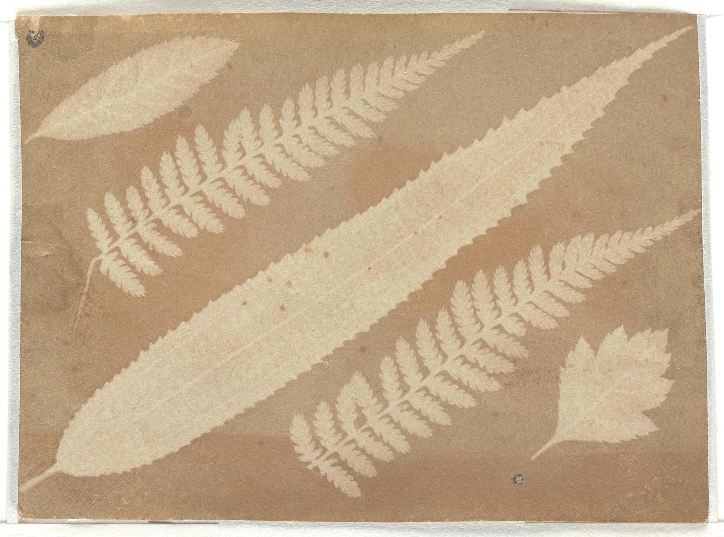 Lucia Moholy, the photographer who immortalized the Bauhaus, finally gets her due