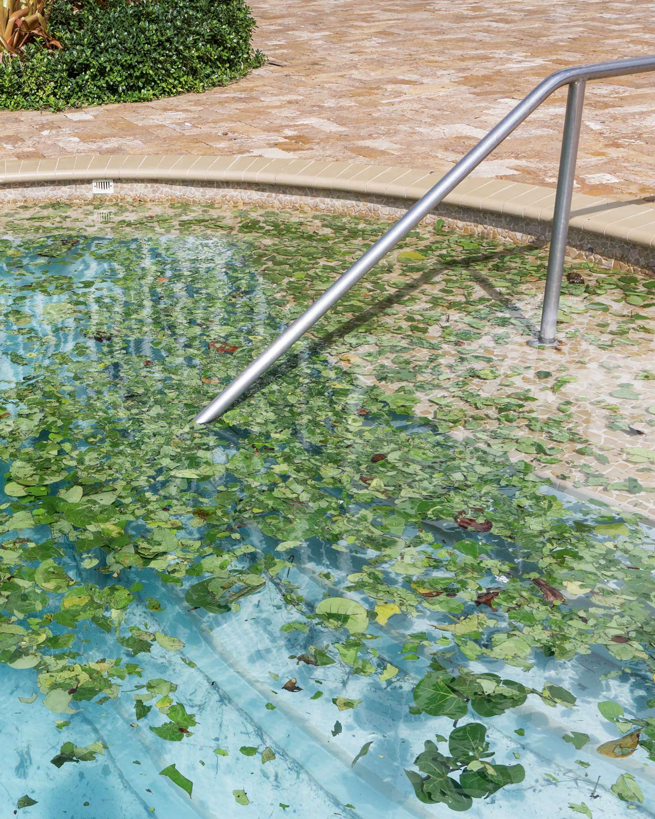 In Florida, Anastasia Samoylova captures a tropical utopia on the brink of disaster