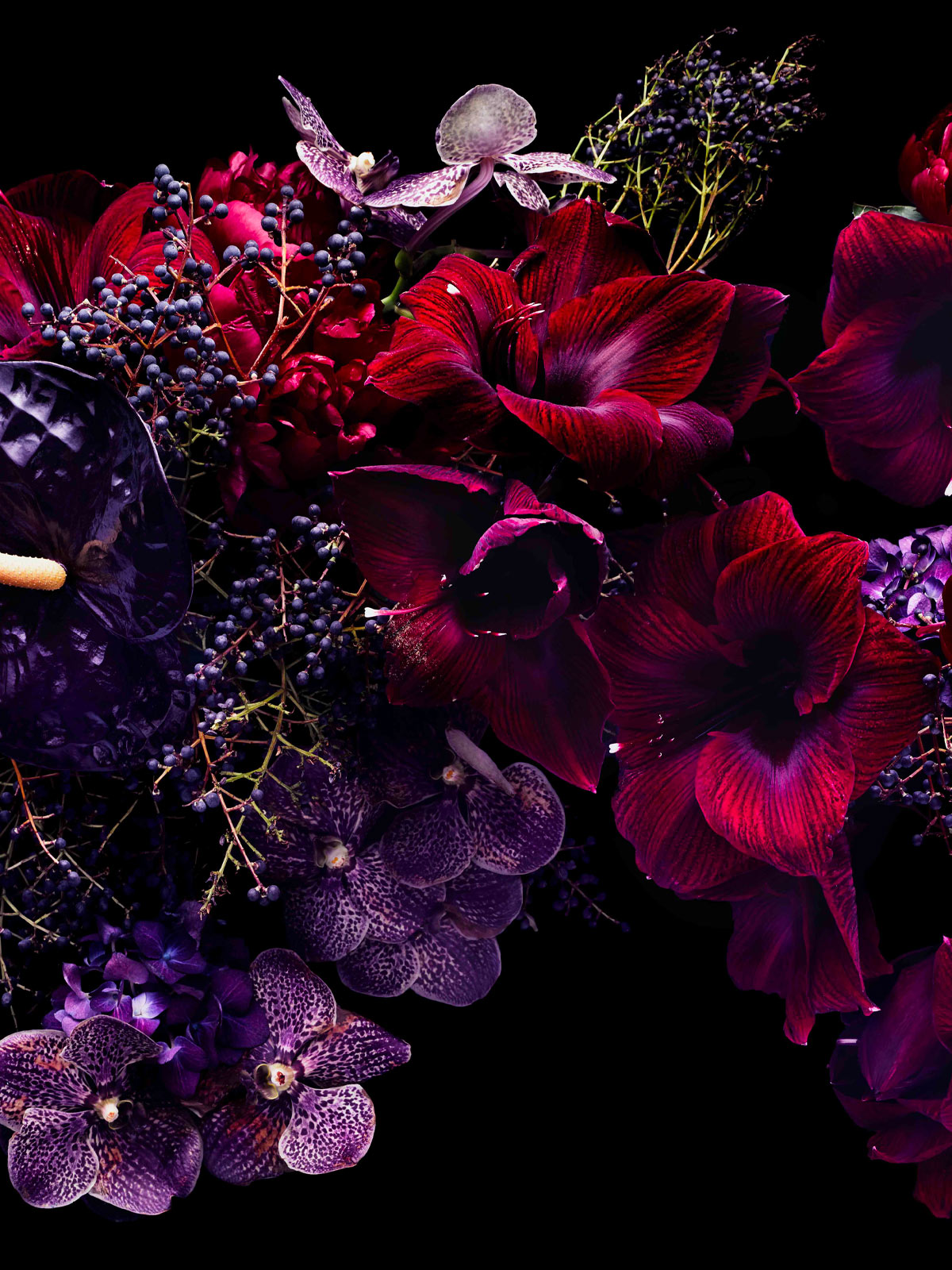 Lewis Miller’s lush floral arrangements are a tribute to the ephemeral beauty of nature