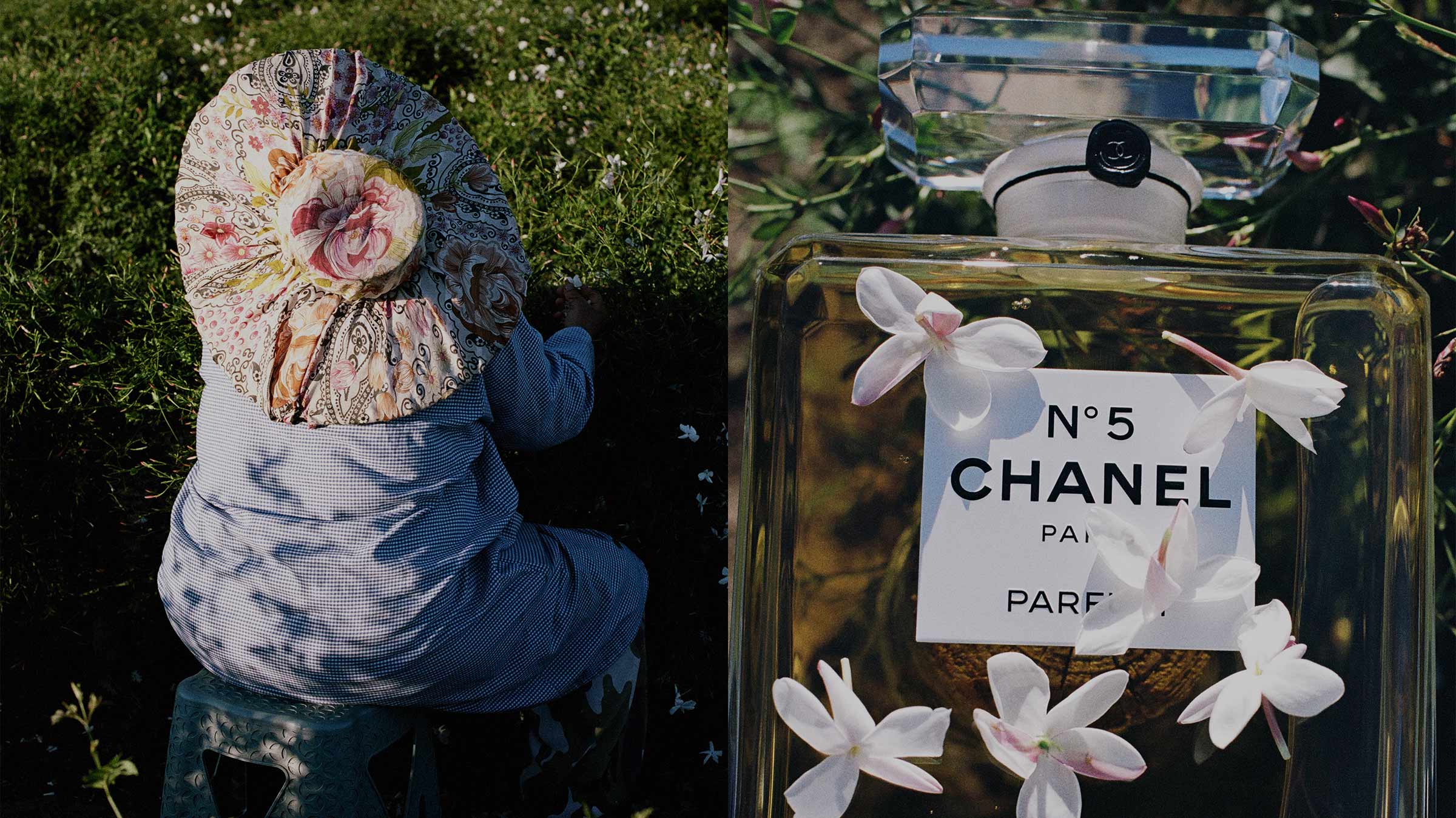 Uncovering the family values at the heart of Chanel’s jasmine harvest