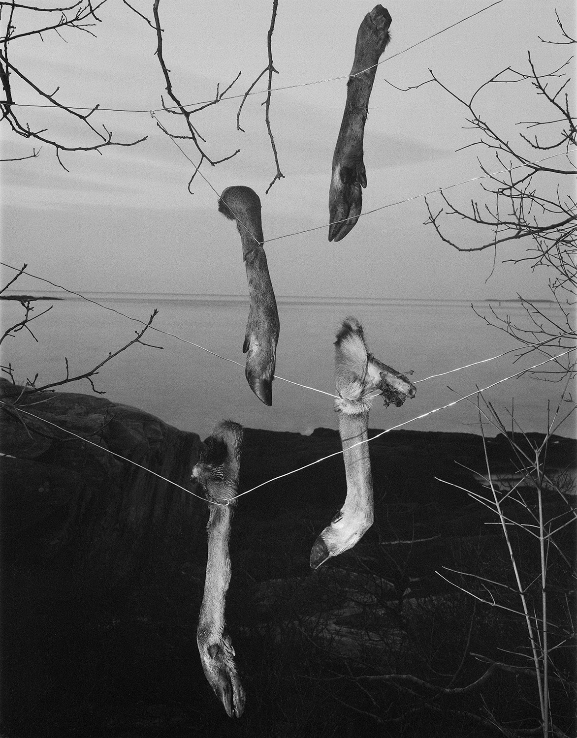 Paul Guilmoth’s new monograph is an elegiac portrayal of a queer world